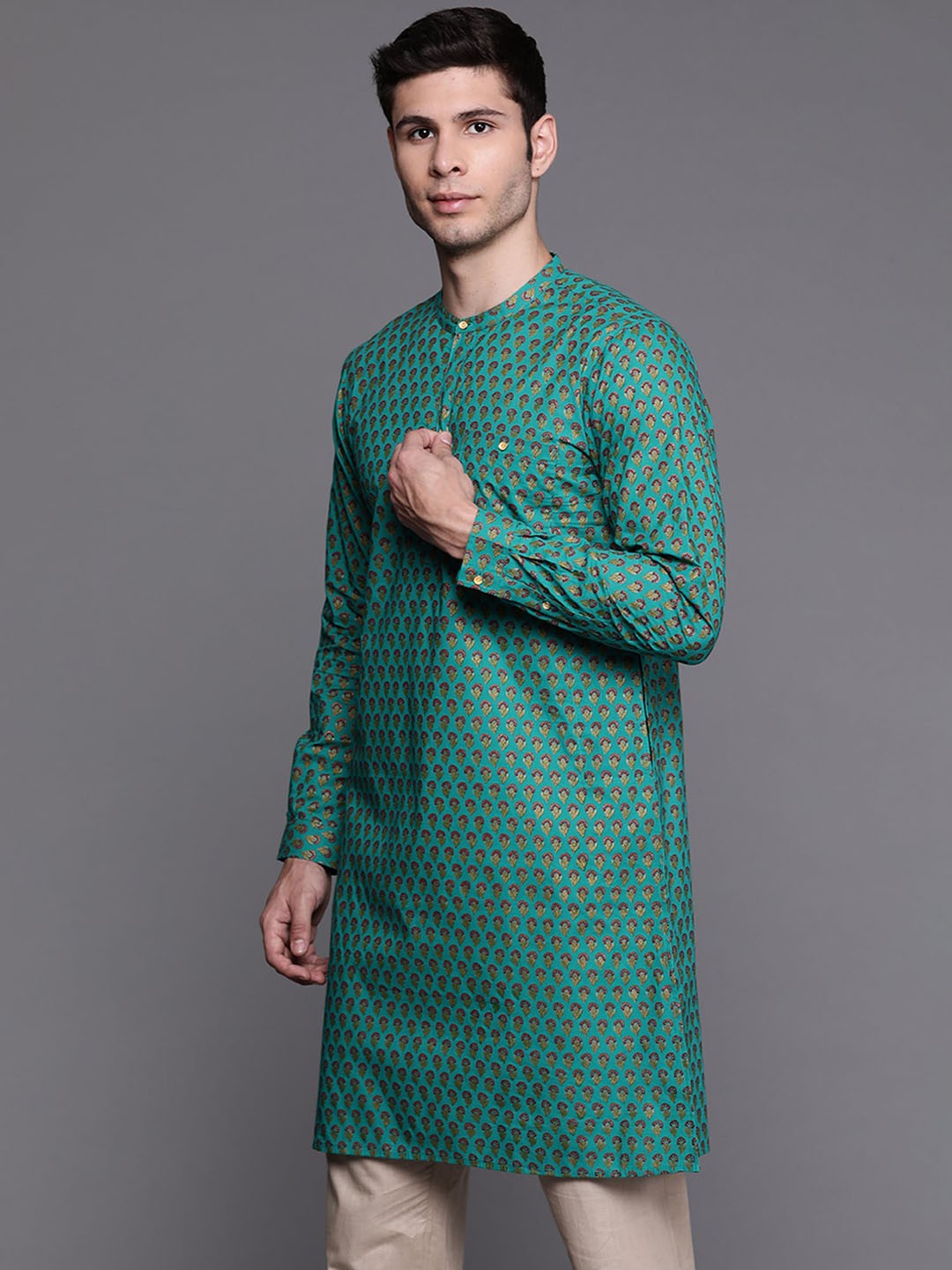 Ethnic Motifs Printed Cotton Kurta