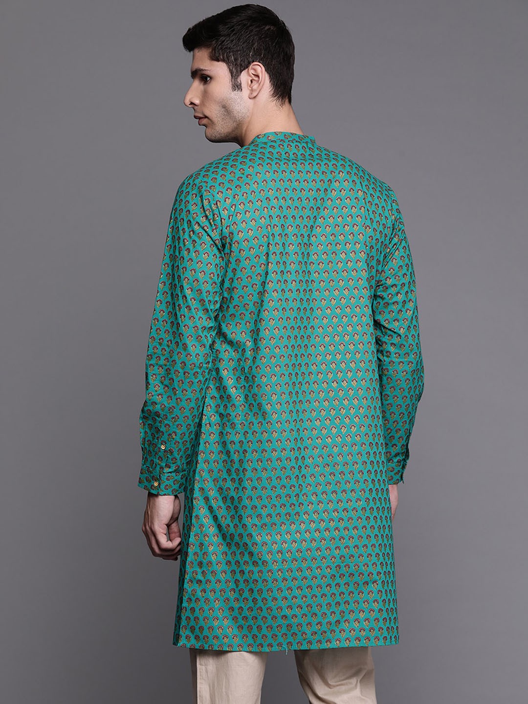 Ethnic Motifs Printed Cotton Kurta