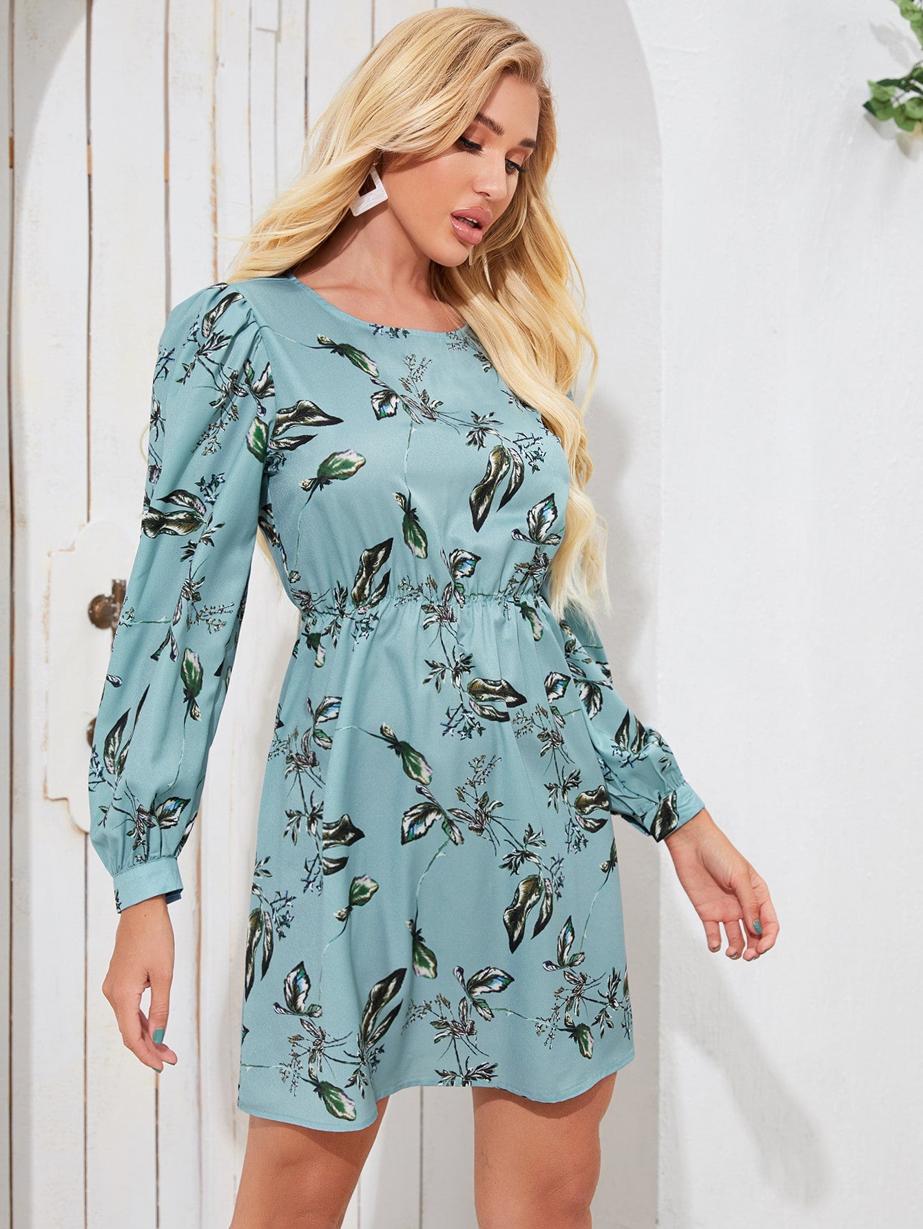 Amy's Cart Lantern Sleeve A-line Dress