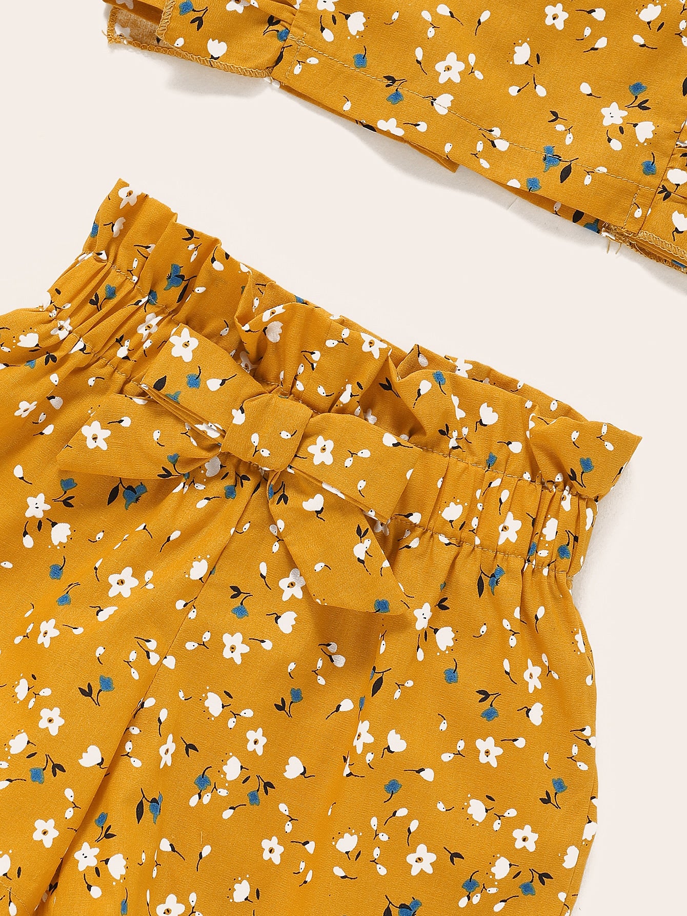 Toddler Girls Ditsy Floral Print Ruffle Trim Top With Shorts