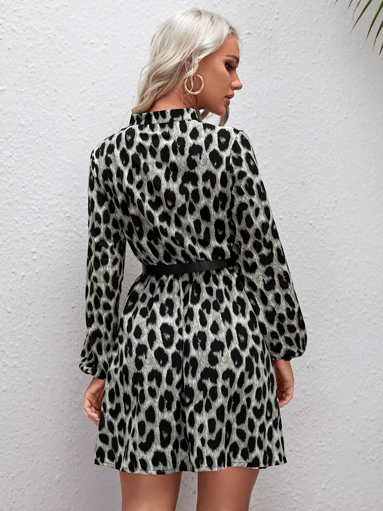Allover Print Notch Neck Belted A-line Dress