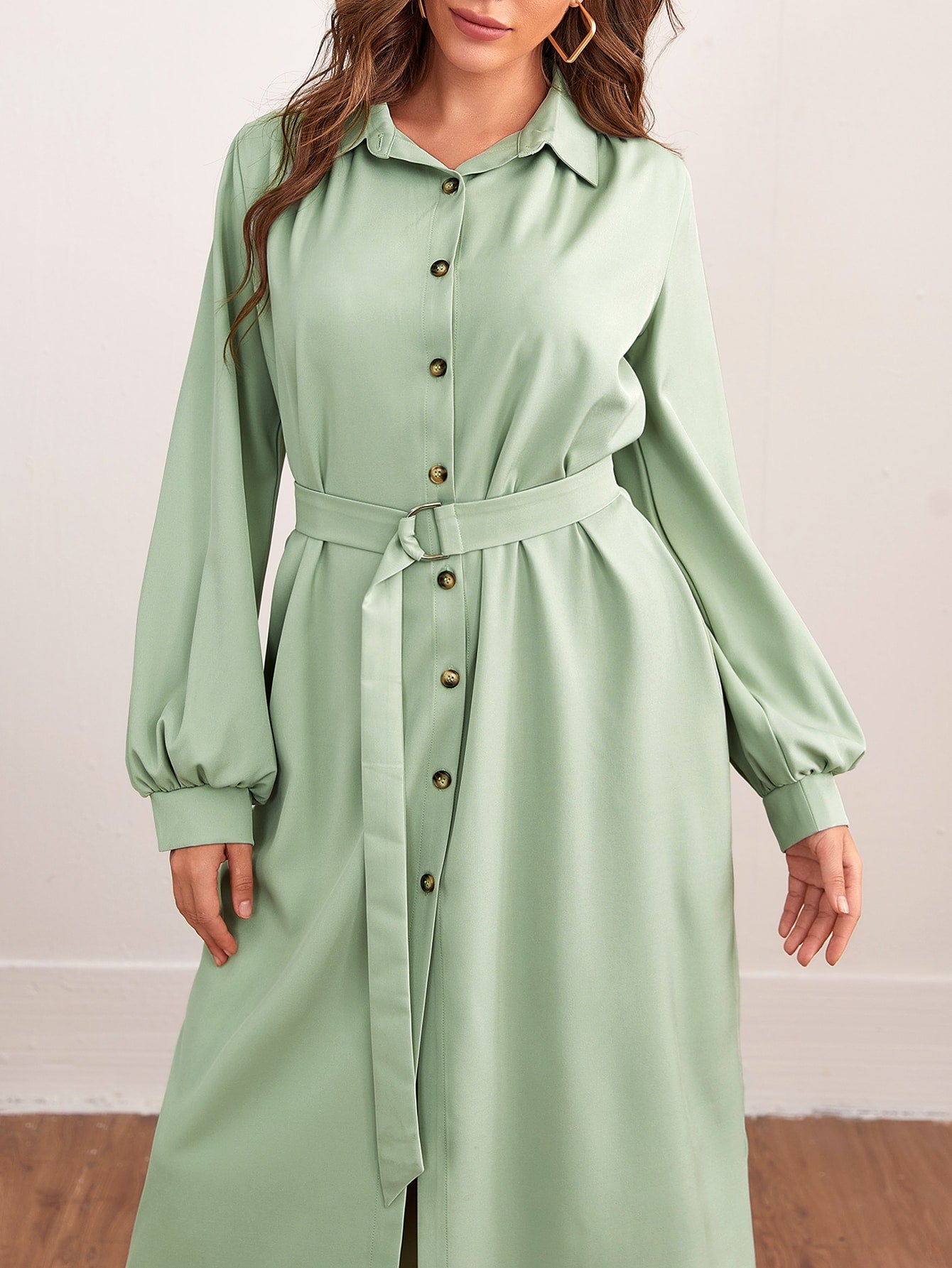 Lantern Sleeve Belted Shirt Dress