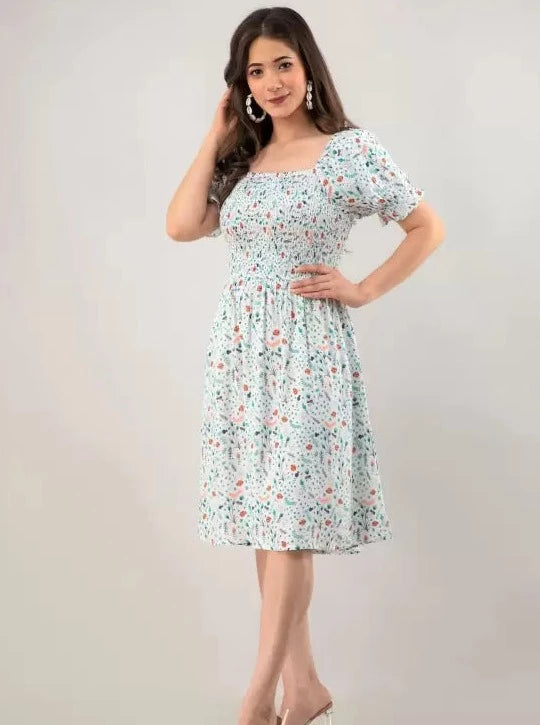Women Fit and Flare Multicolor Dress