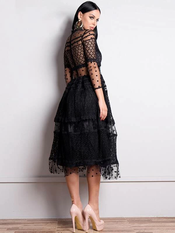Sheer Panel Fit & Flare Mesh and Lace Dress