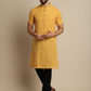 Checked Pure Cotton Band Collar Kurta