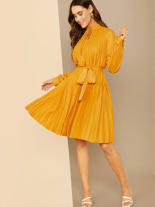Frilled Tie Neck Pleated Belted Dress