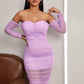 Off Shoulder Ruched Mesh Bodycon Dress