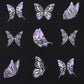 Butterfly Print Round Neck T-shirt