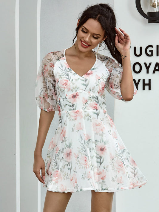 Sheer Raglan Sleeve Floral Skater Dress