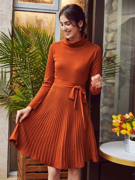 Turtle Neck Belted Sweater Dress