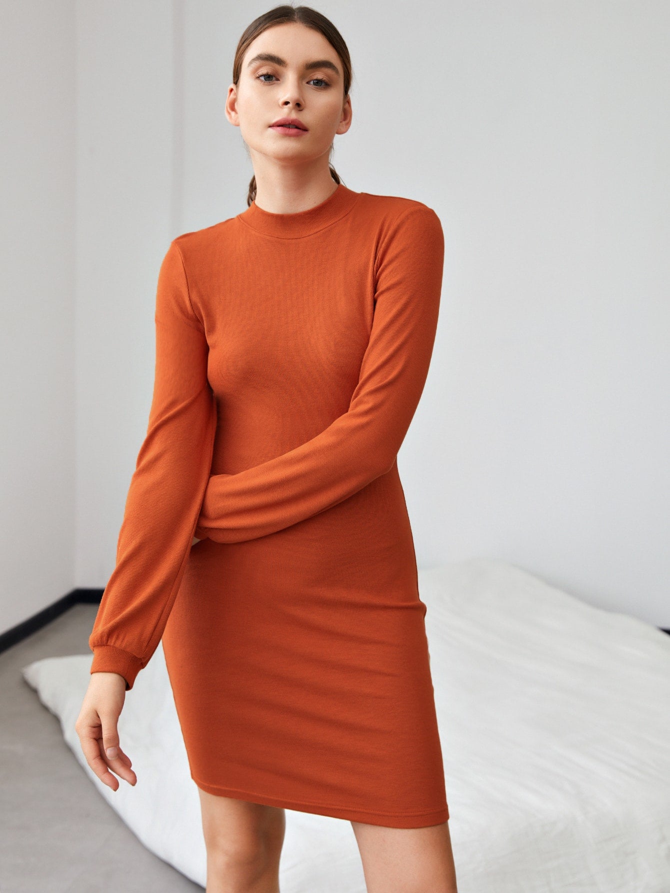 Solid Stand Collar Dress