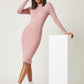 Stand Collar Bodycon Dress
